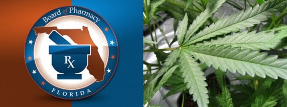 Florida Marijuana Vote Status
